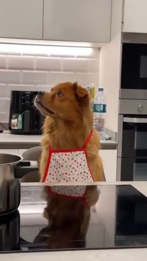 Жена, когда муж добавил что-то не по рецепту 😂😆