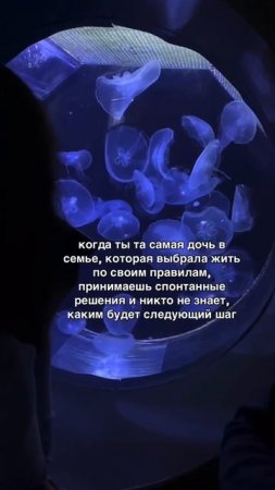 По своим