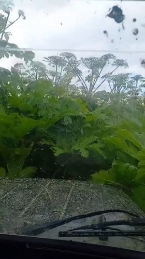 1000051769.mp4