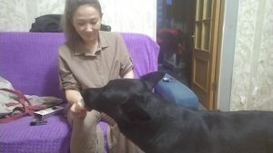 VID_20250628_224506.mp4