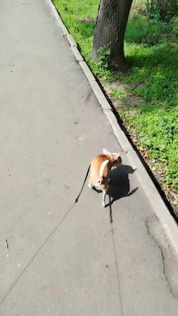 У Сени все хорошо😁