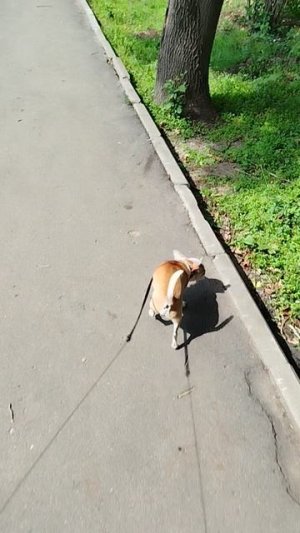 У Сени все хорошо😁