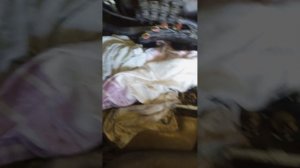 замена колпачков