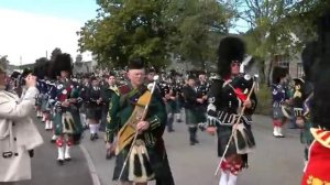 A field of Fields or a Meadow of Meadows