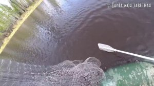 Рыбалка кастинговой сетью с дядей Толей и не только.