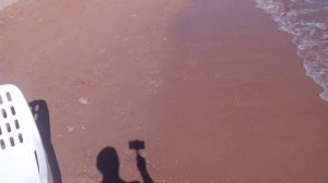 домина корал бей 2018