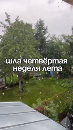 А какая погода в вашем регионе?  Пишите в комментариях 🙏🏻🌿 #лето