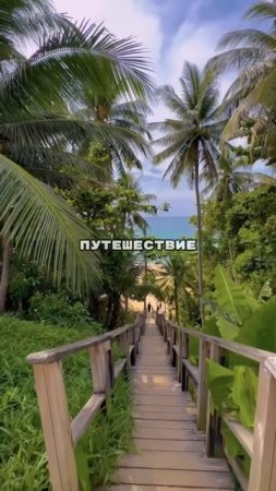 Путешествия - это…