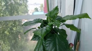 Погода не радует, но мы не унывает! 🤗