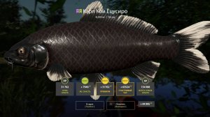 ШИКАРНАЯ РЫБАЛКА С КУЧЕЙ КОИ НА МЕДНОМ ОЗЕРЕ В РУССКОЙ РЫБАЛКЕ 4 РР4