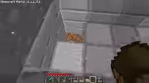Old Minecraft Gameplay