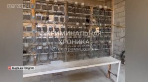 Правоохранительные органы пресекли незаконный майнинг криптовалюты в Карабудахкентском районе