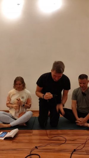 20250628 Сб ~10:00. Аксиоматика Йоги, часть 9. Группа Шакти23. Открытая йога. Анализ систем аксиом.