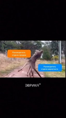 Эврика360 спасет от конфликтов