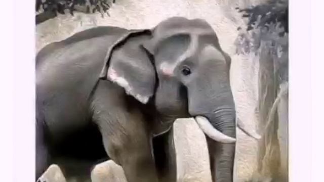 Аудиосказка. Про слона смотреть онлайн