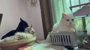 Жизнь иногда несправедлива