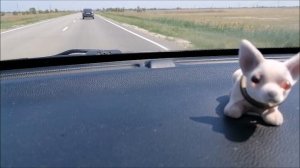 Тетя Мотя готовится к операции
