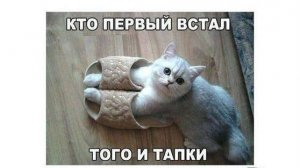 Я первый встал, тапочки мой)))