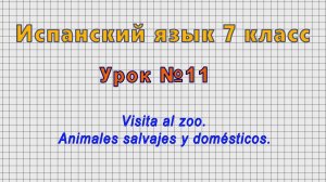 Испанский язык 7 класс (Урок№11 - Visita al zoo. Animales salvajes y domesticos.)