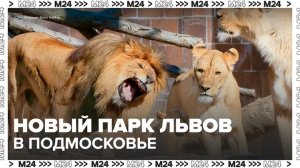 Новый парк львов открылся в Подмосковье - Москва 24