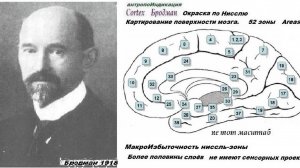 3-3-2+++  Традиционная физиология для теории психики