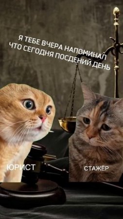 юрист - это