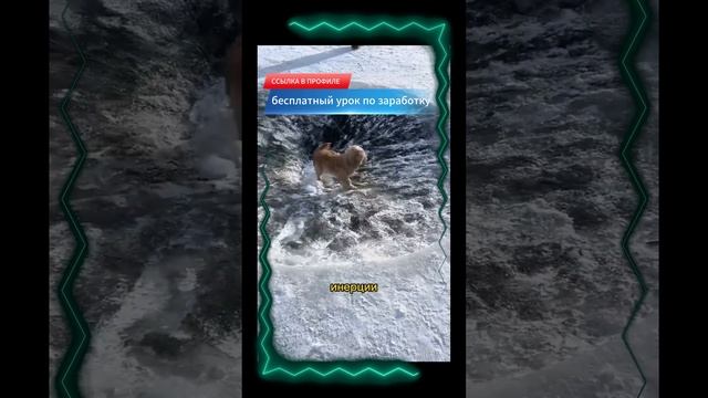 #ледянаяяма