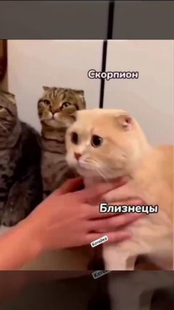 1000141117.mp4