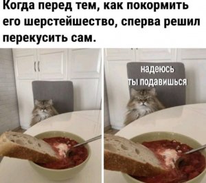 Спасибо