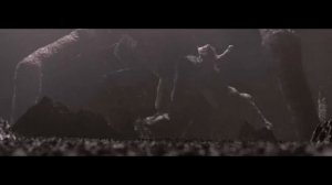 IGORRR - INFESTIS
