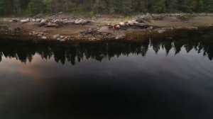 Кит в посёлке