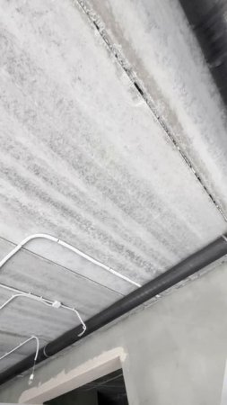 8900025