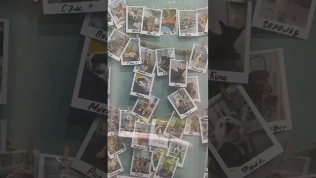 Маркетинговая фишка которая приведет ваш офлайн бизнес к процветанию.