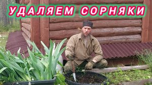 СКИТ. УДАЛЯЕМ СОРНЯКИ, ЛОВИМ РЫБУ.