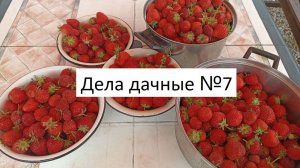 Дела дачные №7