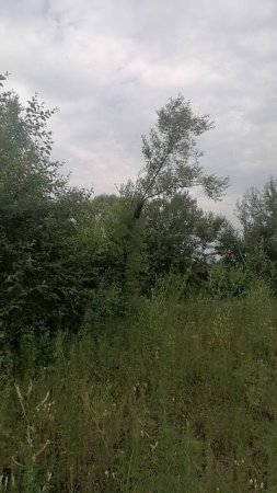 VID_20250629_084151