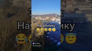 Бригодир