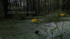 Болото для пикника