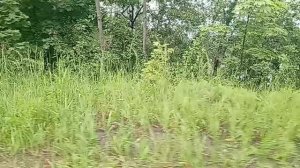 1000014886.mp4