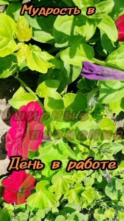 29 июня.
АСТРОЛОГИЯ ДНЯ. 

Серьезны, ответственны.
Обширные познания в самых разных областях. 
Избав