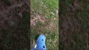 VID_20250629_155523.mp4
