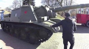 скромник против сиренагаловава