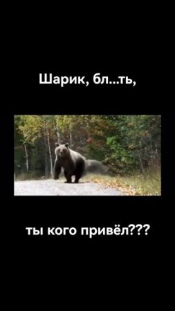 | MemLand | Приятного просмотра!