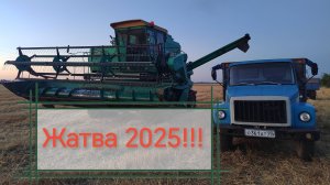 Уборка урожая 2025!!! Ячмень озимый.