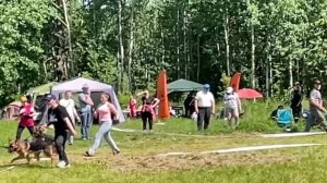 ПОДРОСТКИ СУКИ / КЧК ВЕЛИКИЙ НОВГОРОД 15 июня`25 В.Федоров Моно немецких овчарок