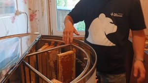 качаем весенний мед в Сибири .2025