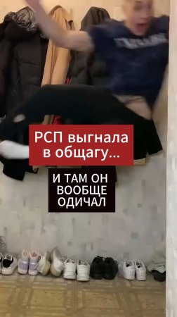 Связался с РСП и превратился в кота 🐈💔