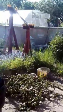 Дачная серенькая кошечка пришла за обедом 🐱😽