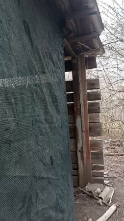 делаем дачу из заросшего участка