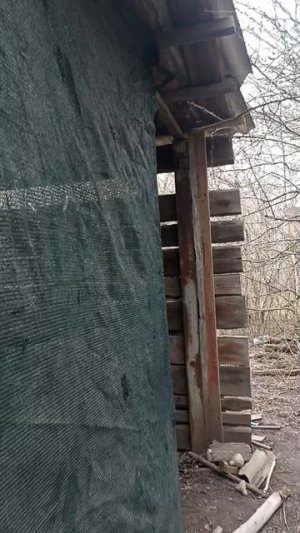 делаем дачу из заросшего участка